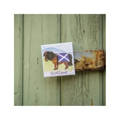 New Alison Gardiner Scottish Pony Fridge Magnet