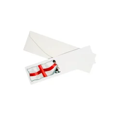 Discount Alison Gardiner St George's Flag Mini Briefs